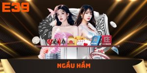 Ngầu hầm